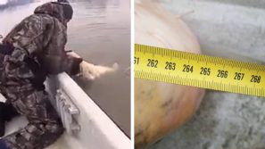 Quest’uomo pesca un “mostro” nel fiume Po: ecco il ritrovamento inquietante!