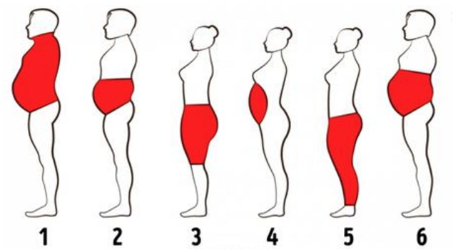 Esistono 6 tipi di grasso: ecco come sbarazzarsene