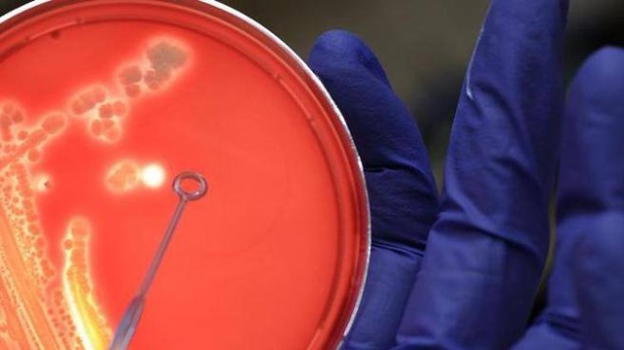 Cancro: nuova cura sperimentata con successo sui topi