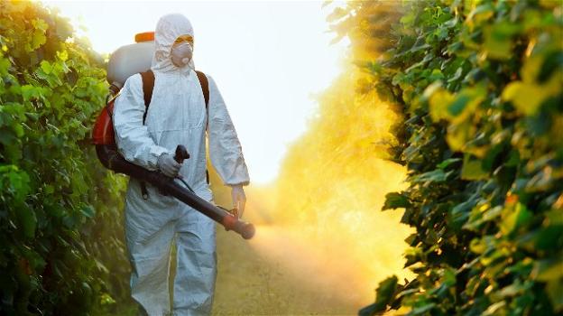 Verso l’eliminazione dei pesticidi dalla nostra tavola, la Francia apre la strada