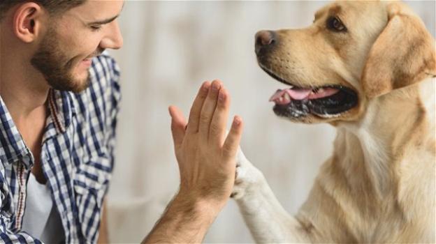 Tumori, i cani ci aiutano: 90% del patrimonio genetico è comune