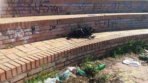 Due cani maltrattati da Roma e Trapani: caccia ai responsabili