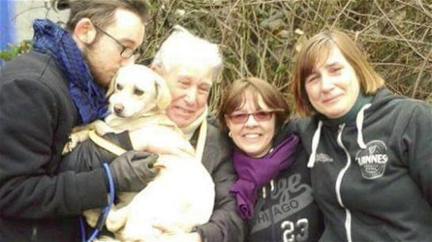Il cane Neve ritorna a casa nel Torinese. Era scomparso dopo un incidente