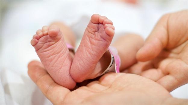Trento, Sin: "VI congresso nazionale di cure del neonato nei paesi a limitate risorse"