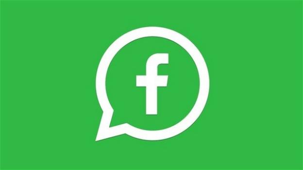 WhatsApp prepara l’ingresso dei contenuti sponsorizzati ed una maggiore integrazione con Facebook