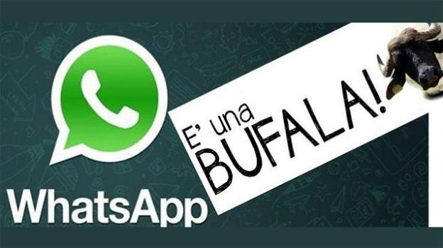 Ecco la catena WhatsApp dell’aumento in bolletta: bufala a metà