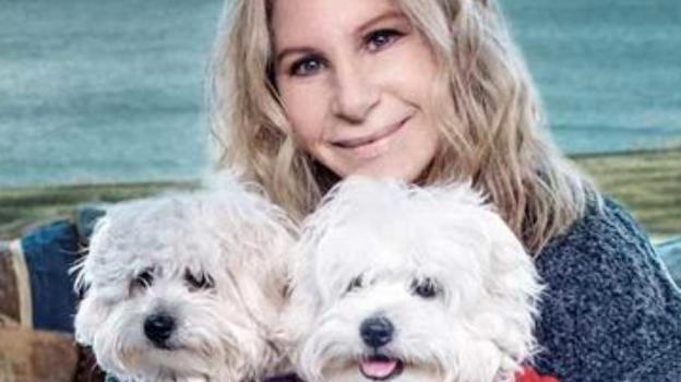Confessione shock di Barbra Streisand: "Ho clonato due volte il mio cane"