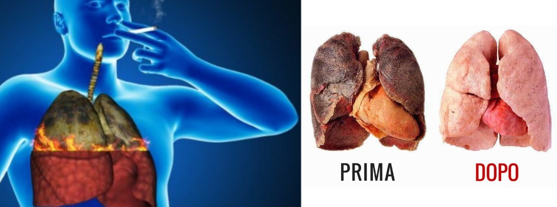 Come Tagliare Il Fumo Con Il Miele