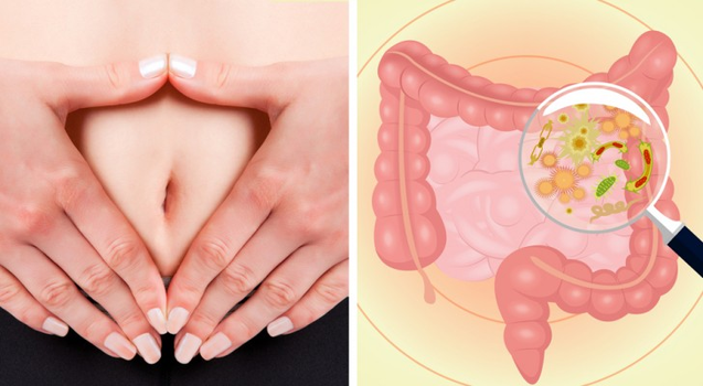 Ecco dei cibi che ci fanno espellere le tossine in modo naturale