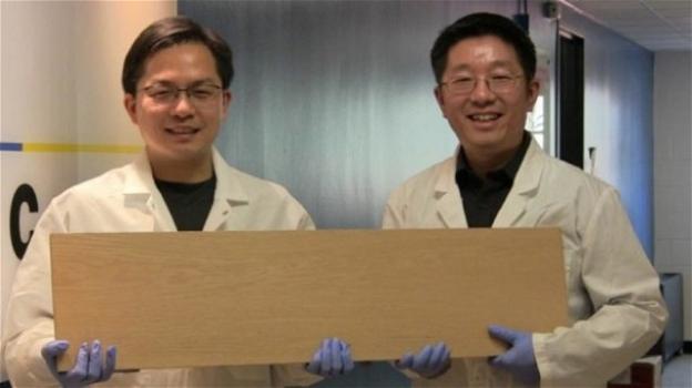 Inventato un "super legno", per l’edilizia, più resistente dell’acciaio e del titanio