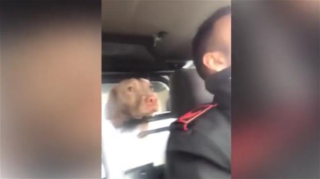 I Carabinieri salvano un cane e mutano la situazione in una video gag