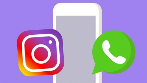 Instagram introduce hashtag e menzioni nei profili, WhatsApp prepara la barra di ricerca per gli adesivi