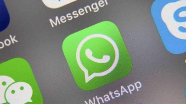 WhatsApp: ecco le novità su GIF, stickers, messaggi vocali, bufale, micropagamenti, e Nokia 8110