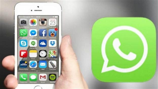 WhatsApp: su iOS gli Stati si leggono senza aprire l’app e le note vocali continuano in background