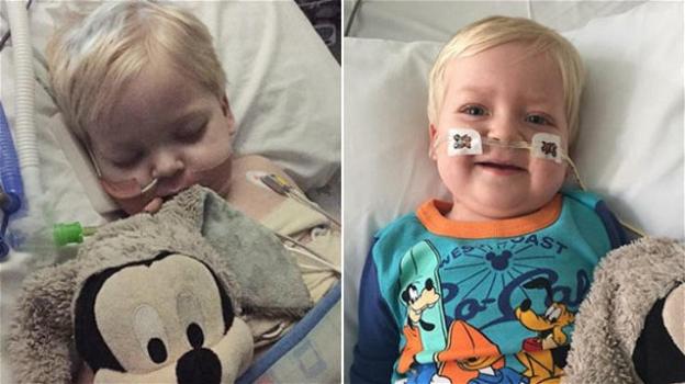 Inghilterra: il piccolo Dylan si svegliò dal coma prima che gli staccassero la spina. Oggi è guarito