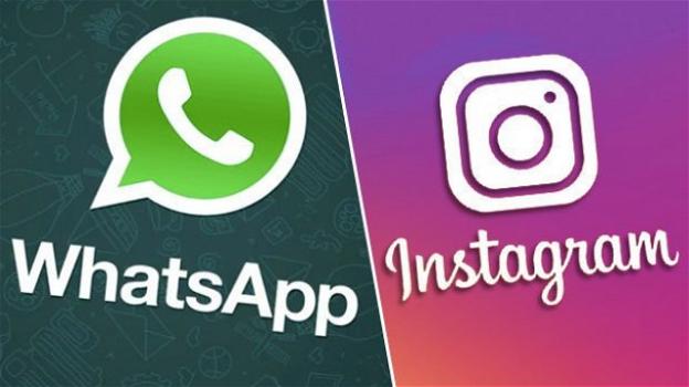 WhatsApp protegge i dati e rilascia gli hashtag per contatti e chat, Instagram permetterà di scaricare i dati condivisi