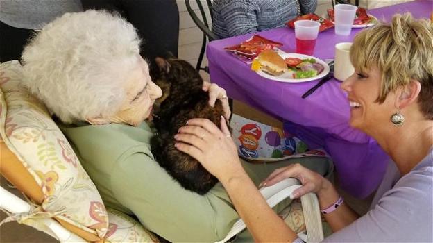 Una signora compie 103 anni e riceve in regalo un gatto