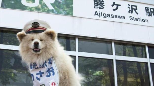 Il cane Wasao accoglie i turisti nella città di Ajigasawa, in Giappone