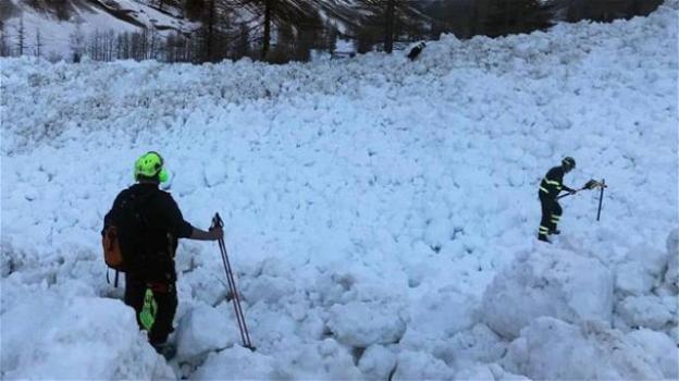 Sulle montagne ritrovato il cane rimasto sepolto sotto la neve per 26 giorni