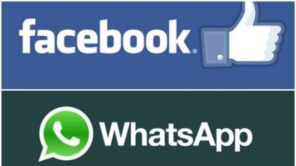 Facebook tra downvote e fake news "rimpicciolite", WhatsApp tra gruppi ristretti e addio al founder