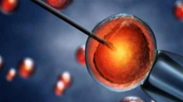 Creato un embrione artificiale arrivato fino alla fase matura