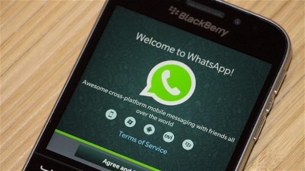 WhatsApp: arriva il supporto ai link accorciati per le chat, ma anche il bug del temibile puntino nero