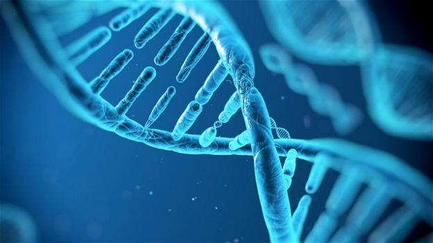 Il segreto della longevità è scritto all’interno del nostro DNA