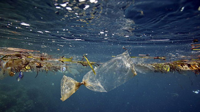 Il Problema Delle Plastiche Negli Oceani