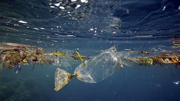 Il problema delle plastiche negli Oceani