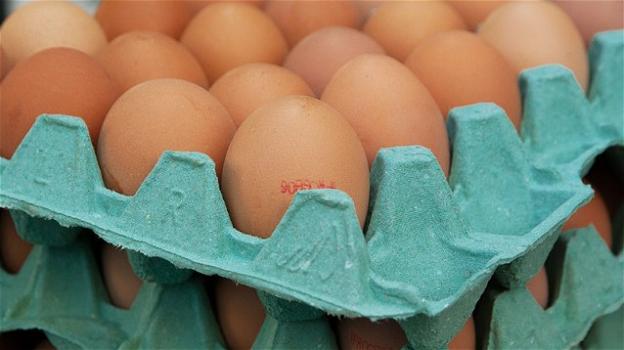 Uova contaminate da Lasalocid: rischio per la salute di chi le ingerisce