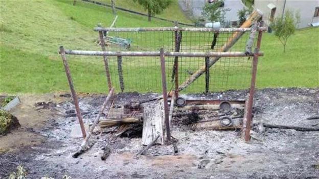 Bruciati vivi due cani in Valtellina perché abbaiavano troppo: caccia al killer