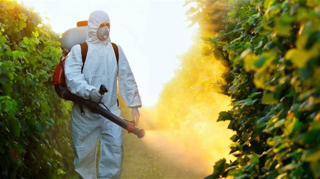 L’uso di pesticidi provoca obesità e diabete