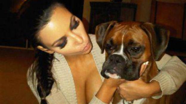Kim Kardashian ha fatto impiantare dei testicoli artificiali al suo cane
