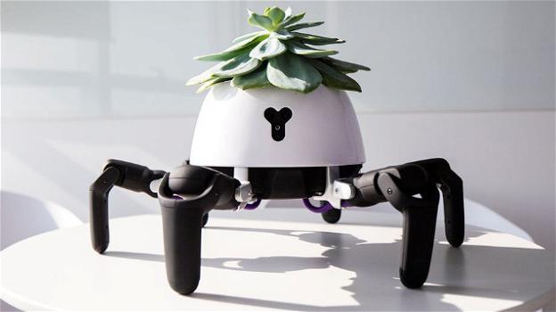 Il robot che si prende cura delle piante e va in cerca della luce solare