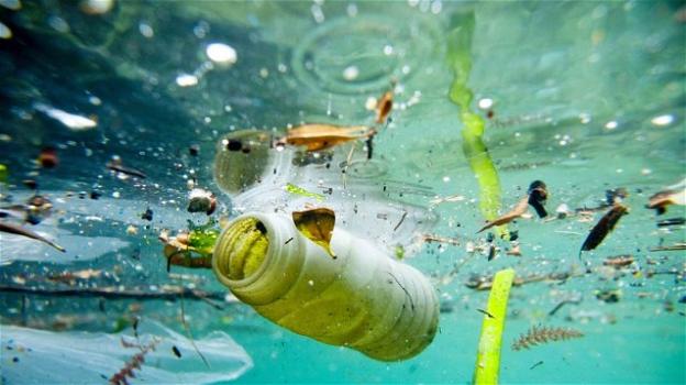 Greenpeace: nemmeno il riciclo della plastica potrà salvare i mari del nostro pianeta dallo scempio