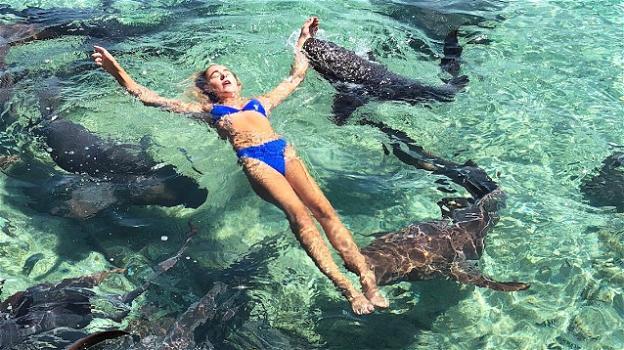 Bahamas, modella morsa da uno squalo mentre tenta di fare lo scatto perfetto