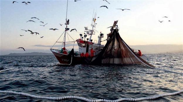 Mar Adriatico: stop al pesce fresco dal 30 luglio