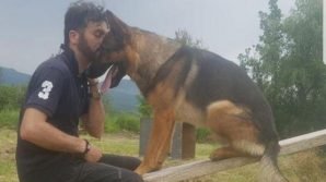 Kaos, il cane che salvò vite sotto le macerie di Amatrice, è morto avvelenato nel giardino di casa