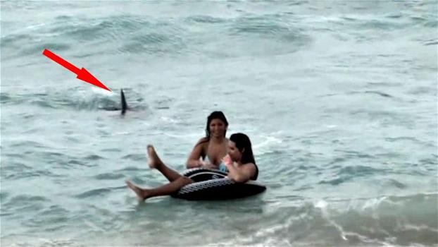Spunta una pinna alle spalle delle ragazze in mare aperto: in pochi secondi scoppia il caos