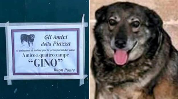 In Salento la morte del cane Gino viene ricordata con i manifesti funebri