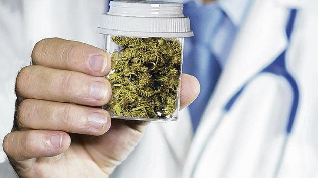 Cannabis: la molecola triplica la sopravvivenza in caso di tumore al pancreas
