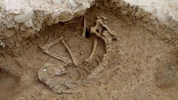 Cane di 2000 anni faceva la guardia alle antiche terme di Lucca anche dall’aldilà