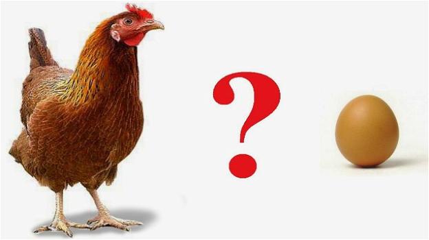 È nato prima l’uovo o la gallina? La fisica quantistica risolve il paradosso