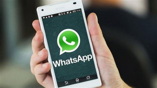 WhatsApp: su Android si rinnova la visualizzazione delle immagini nelle notifiche. Grane per i vecchi iPhone