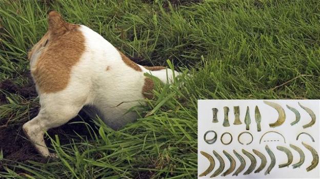 Repubblica Ceca, un cane scava nel terreno e trova un tesoro