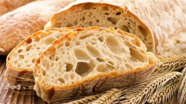 La crosta del pane fa invecchiare. Uno studio lo dimostra