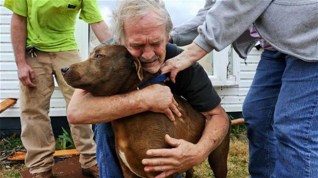 Un cane salva la vita al suo padrone attirando l’attenzione di un uomo del soccorso stradale