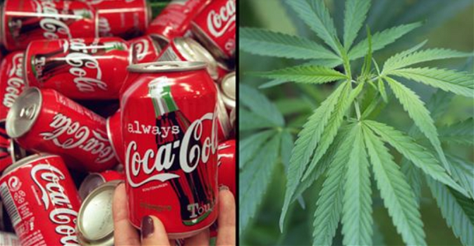 Coca Cola alla cannabis, l’annuncio: “Stiamo lavorando ad una bevanda che contiene marijuana”