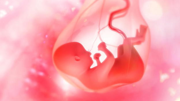 Le polveri sottili possono arrivare fino alla placenta