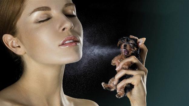 California, approvata la legge che vieta l’impiego di animali come cavie per i test cosmetici
